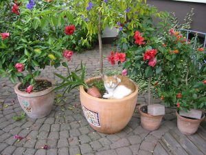 kopie-5-von-img_1120